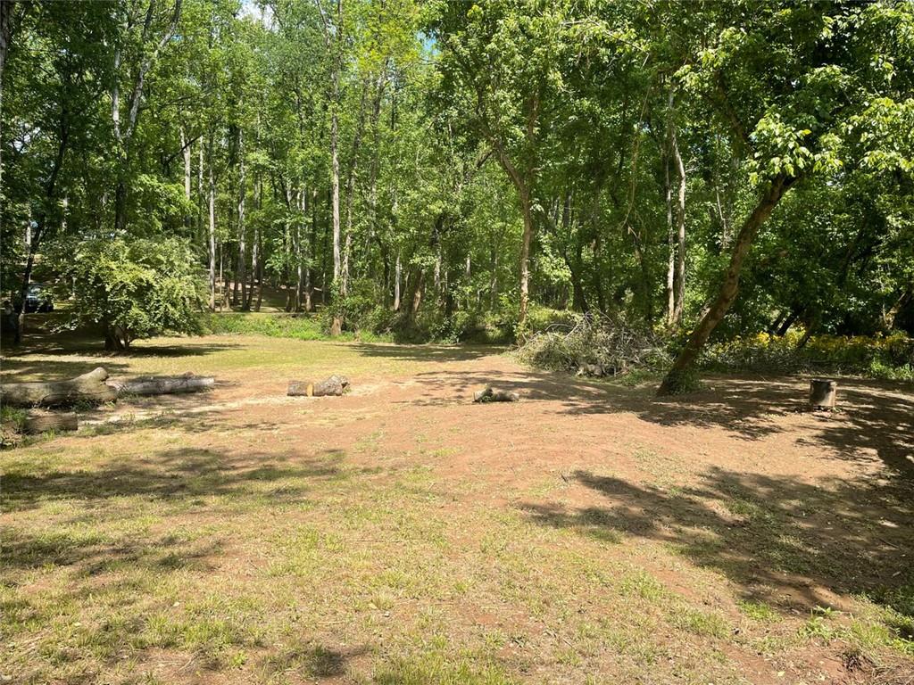 2059 River Road, Elberton, Georgia image 6