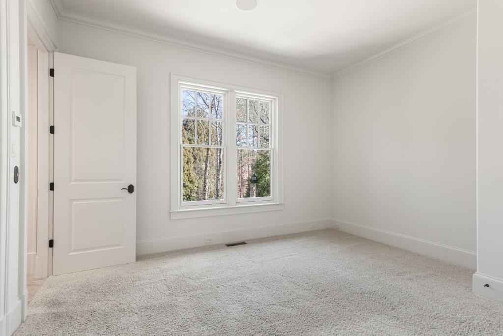 230 Hawks Lake Drive, Ball Ground, Georgia image 48