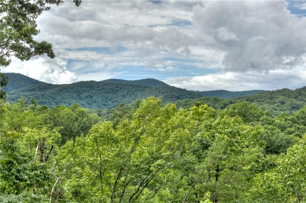 434 Martin Crossing Xing, Cherry Log, Georgia image 4