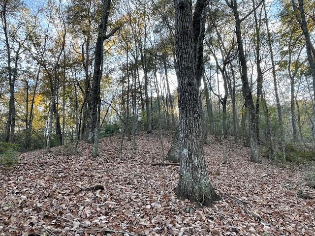 LOT242 S Laceola Road, Cleveland, Georgia image 6