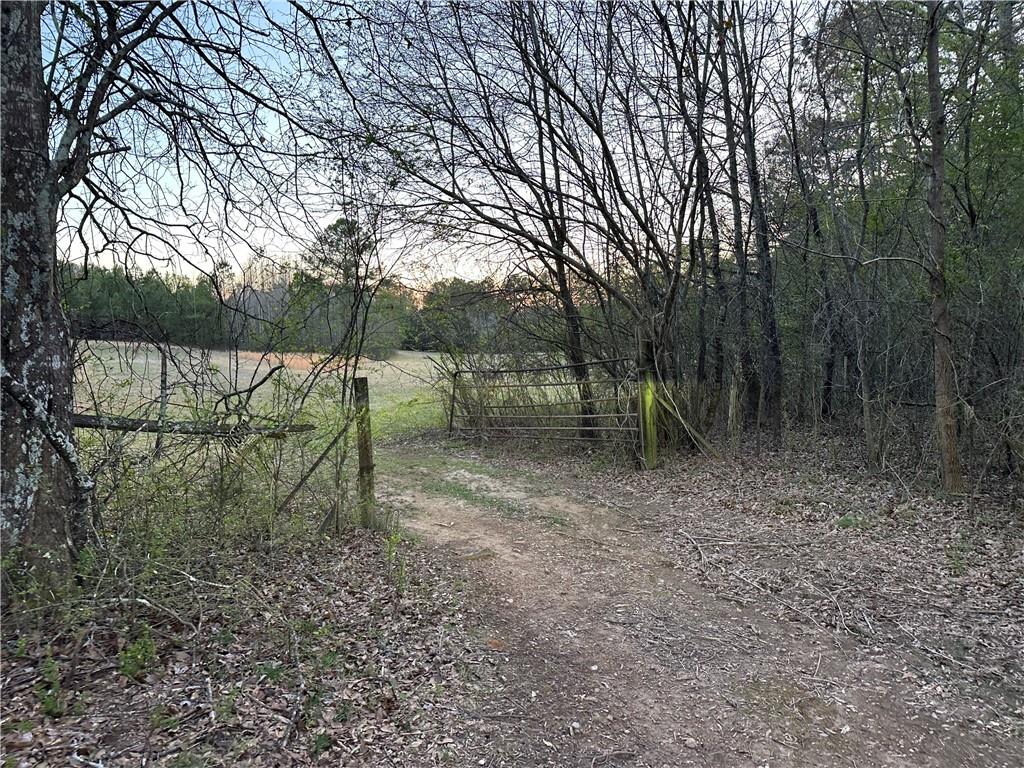 374 Bingham Road, Cartersville, Georgia image 10