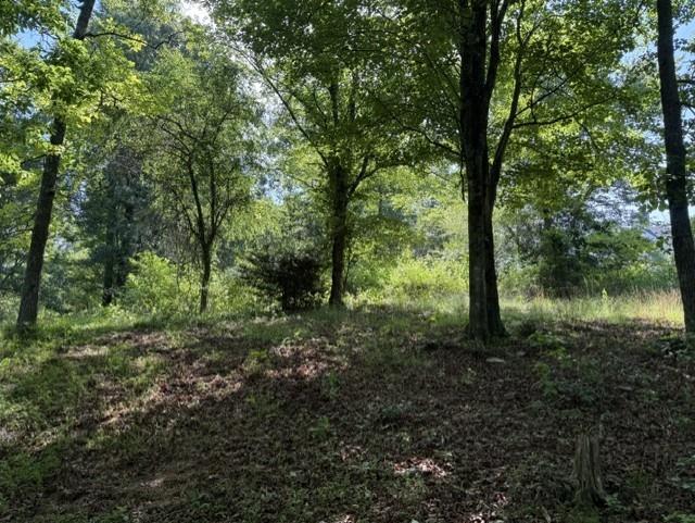 0 Lot 6 Clear Creek Preserve Way