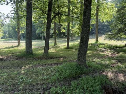 Vacant Land For Sale - Lot 6 Clear Creek Preserve Way<br/> Ellijay, GA 30536