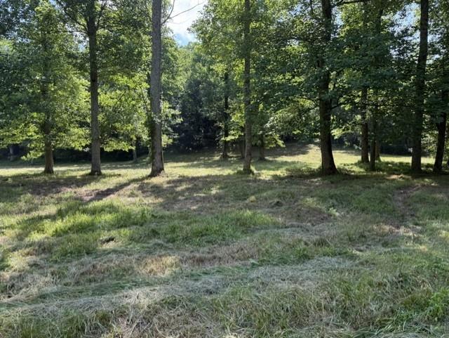 0 Lot 6 Clear Creek Preserve Way