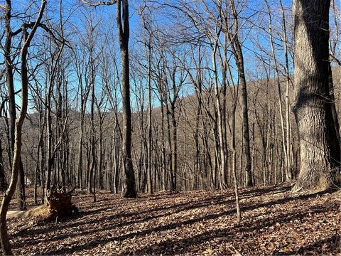 Vacant Land For Sale - Sassafras Court<br/> Jasper, GA 30143