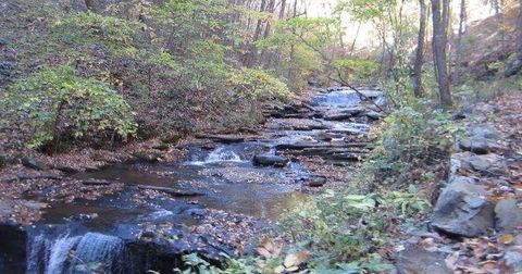 Vacant Land For Sale - 232 Andes Ridge<br/> Ellijay, GA 30540