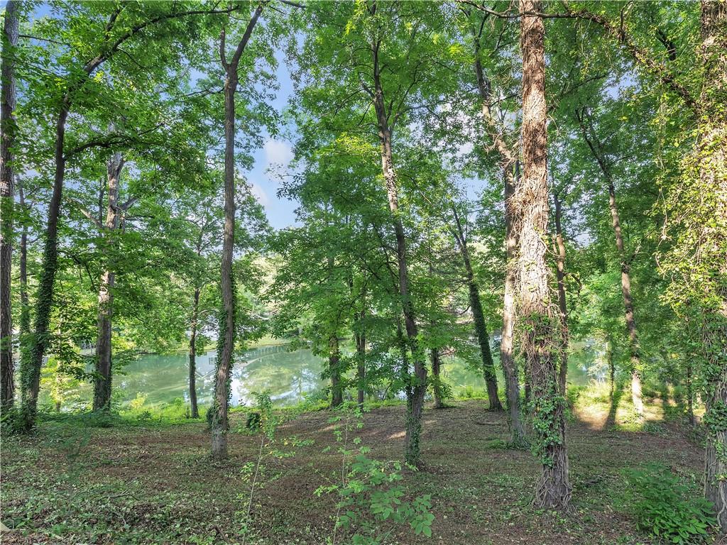 225 Melea Lane, Calhoun, Georgia image 7