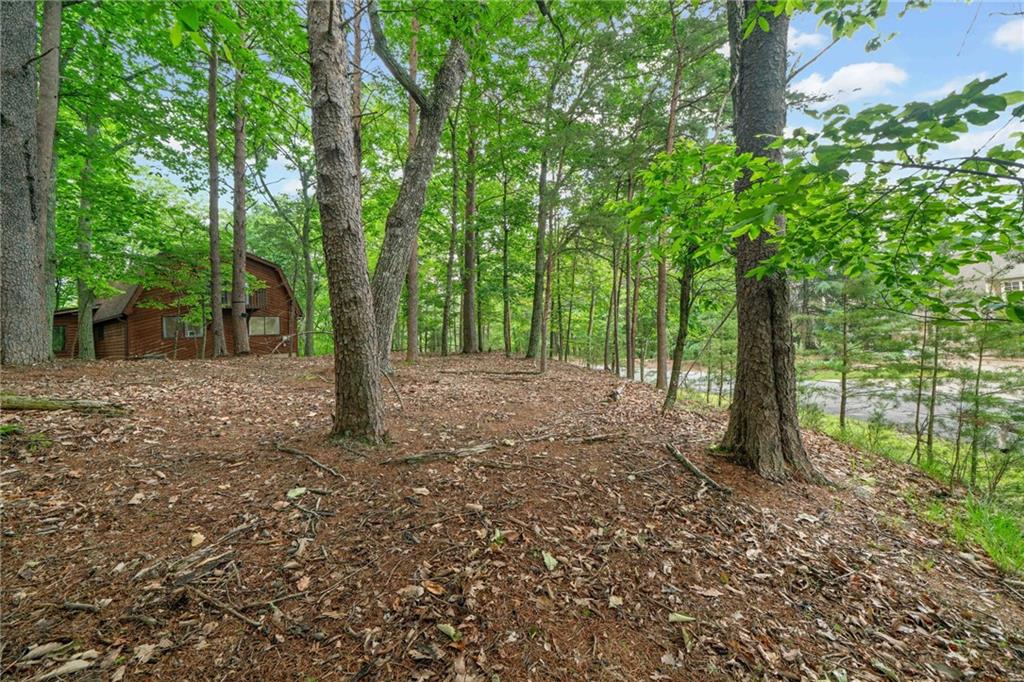 182 White Eagle Drive, Waleska, Georgia image 40