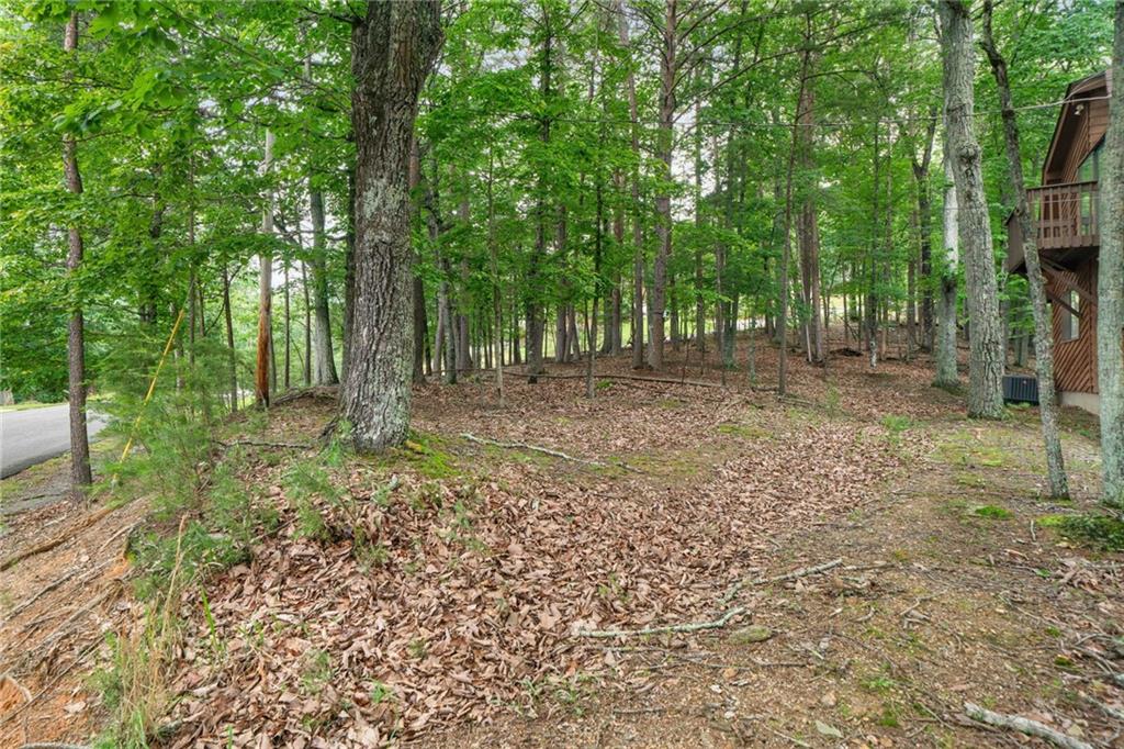 182 White Eagle Drive, Waleska, Georgia image 38