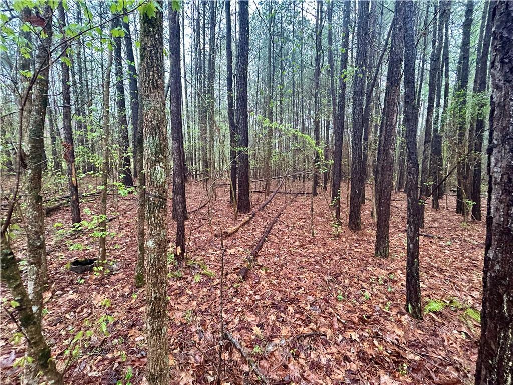 Walker Mountain Road, Rome, Georgia image 3