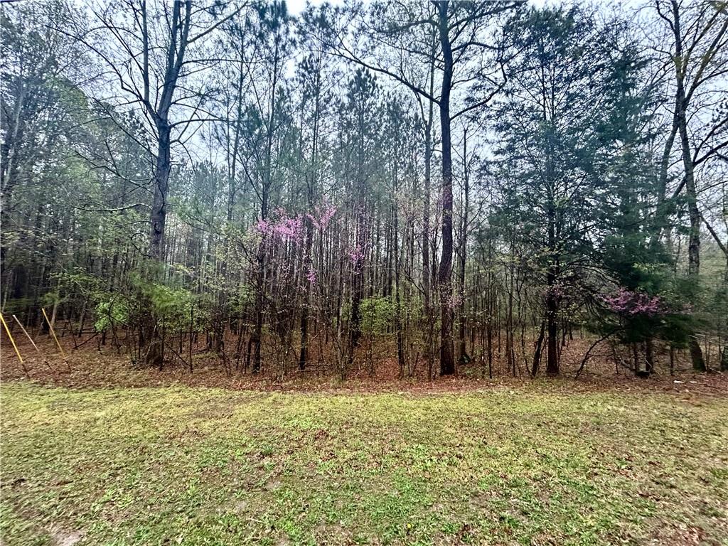 Walker Mountain Road, Rome, Georgia image 1