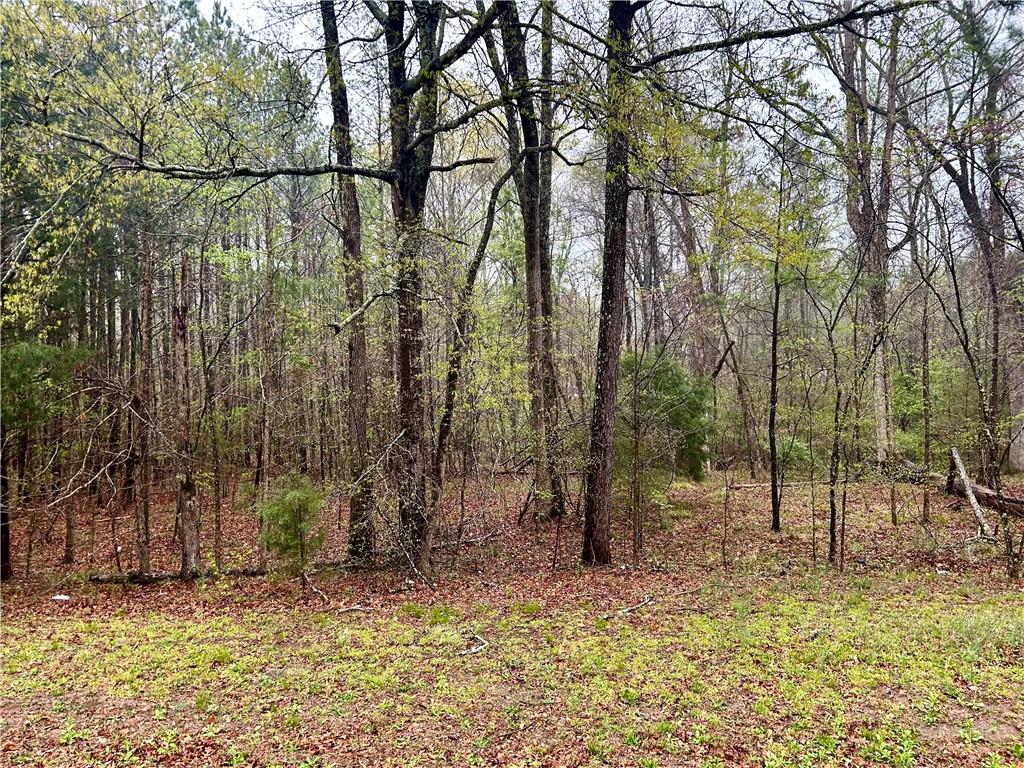 Walker Mountain Road, Rome, Georgia image 6