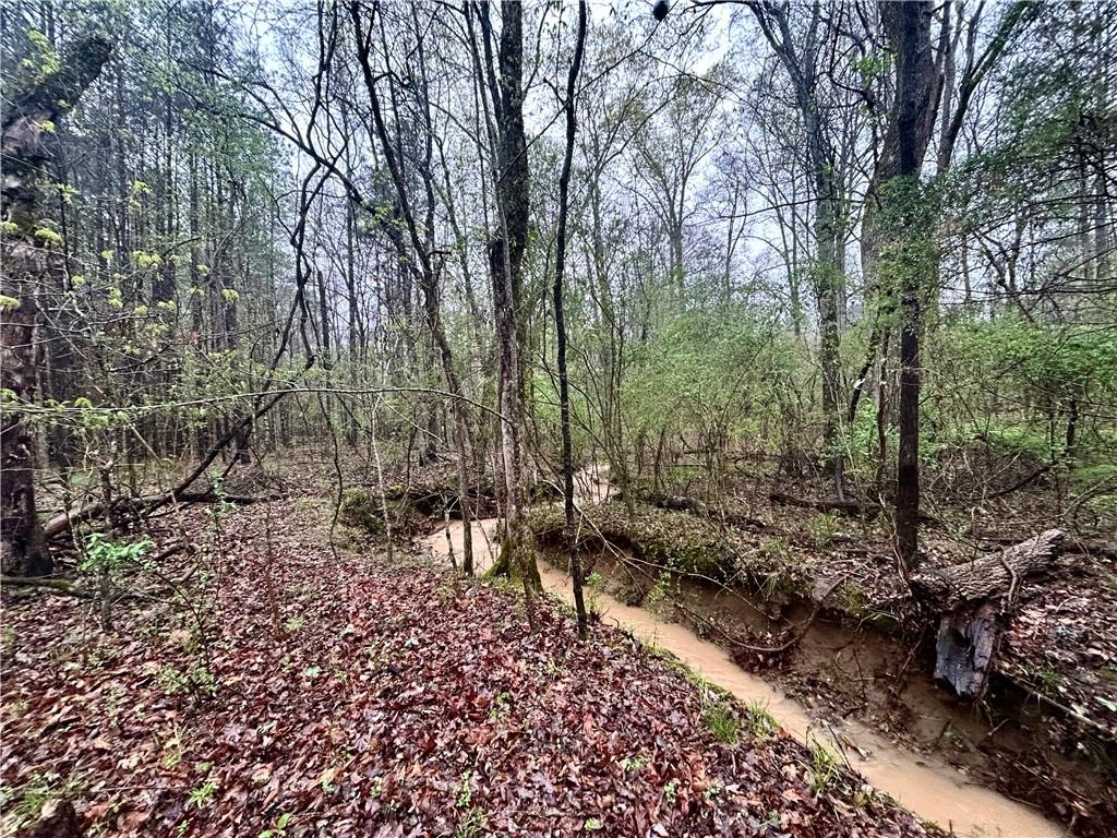 Walker Mountain Road, Rome, Georgia image 4