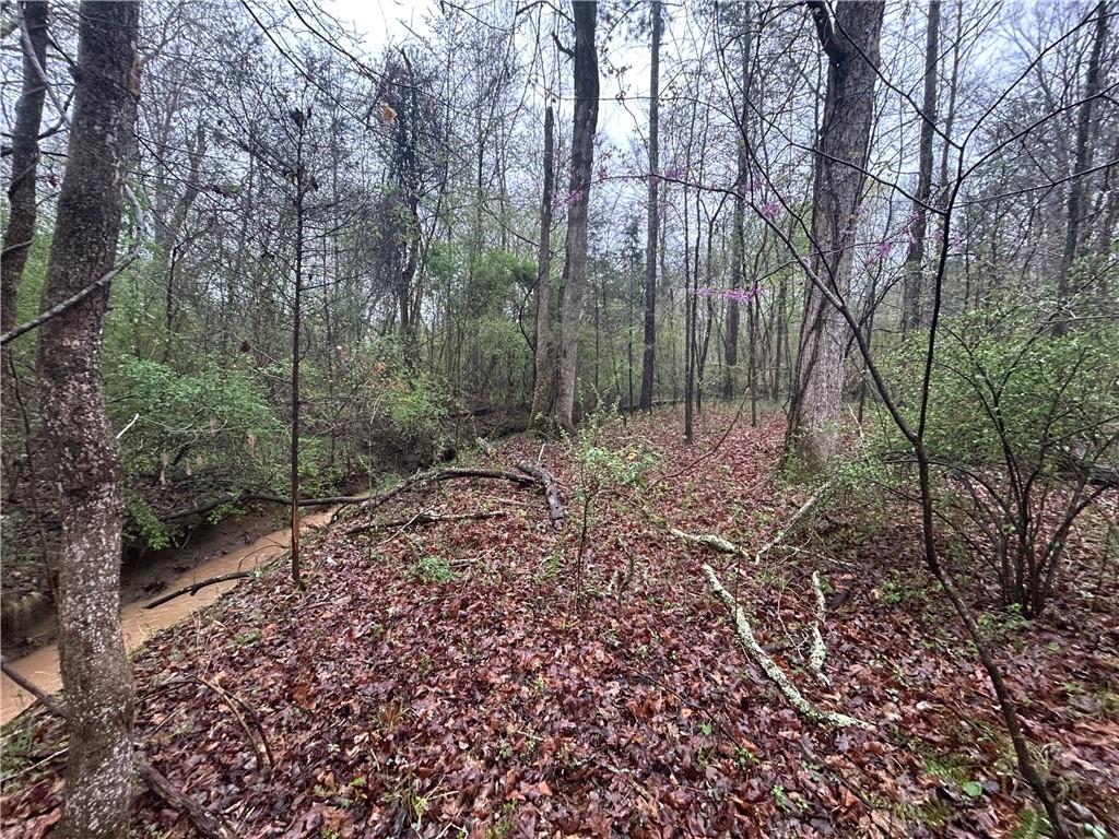 Walker Mountain Road, Rome, Georgia image 5
