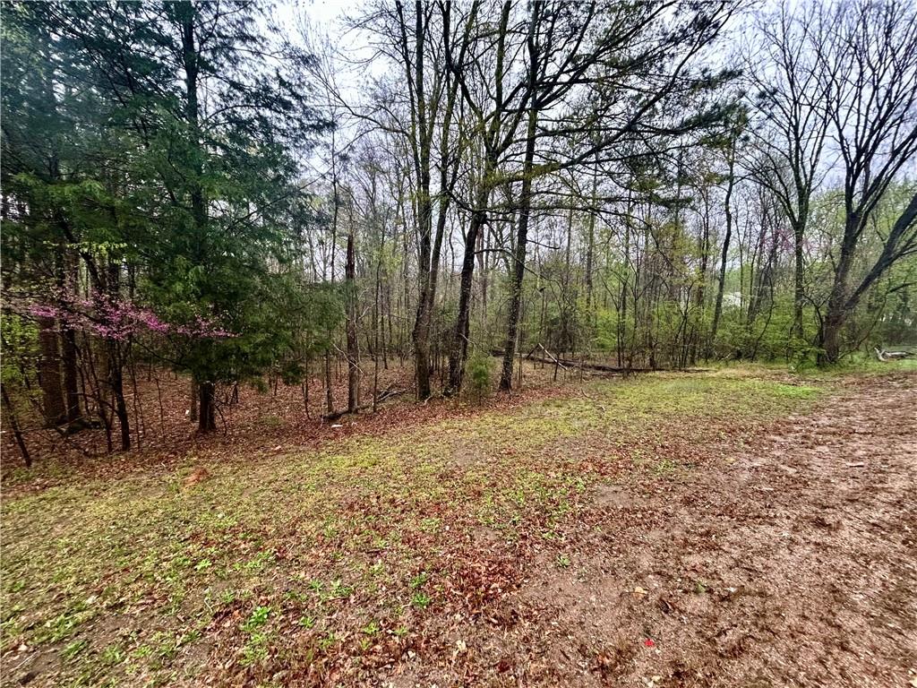 Walker Mountain Road, Rome, Georgia image 8