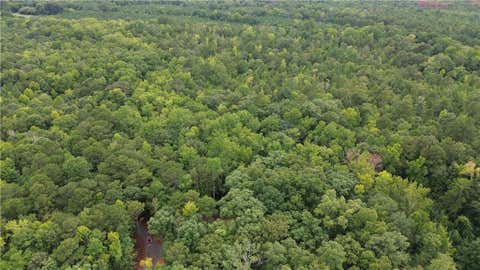 Vacant Land For Sale - Roosevelt Hwy - 20.58 Acres<br/> Warm Springs, GA 31830