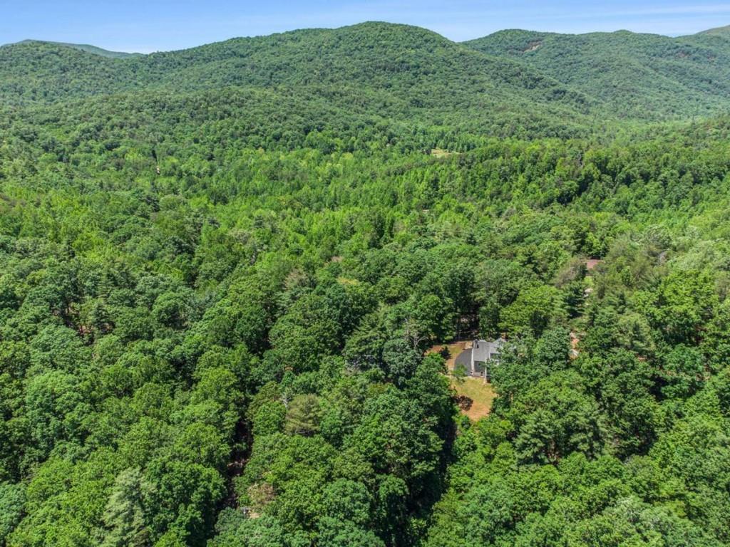 147 Hester Gap Road, Cleveland, Georgia image 35