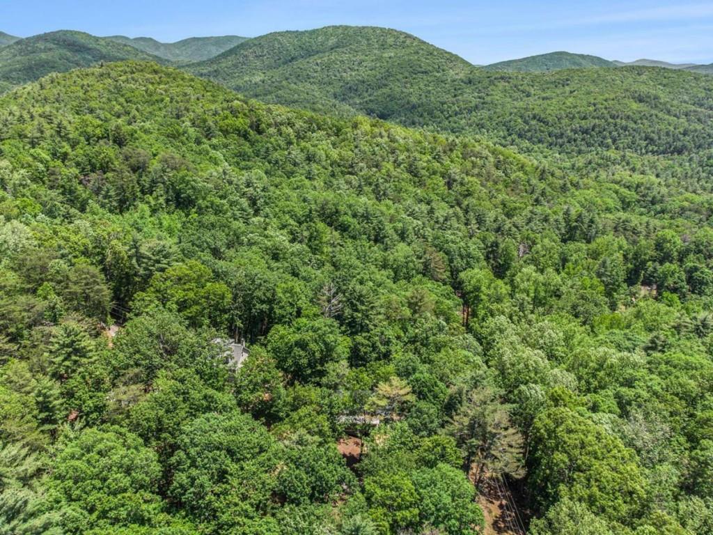 147 Hester Gap Road, Cleveland, Georgia image 38