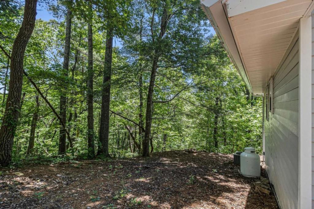 147 Hester Gap Road, Cleveland, Georgia image 29