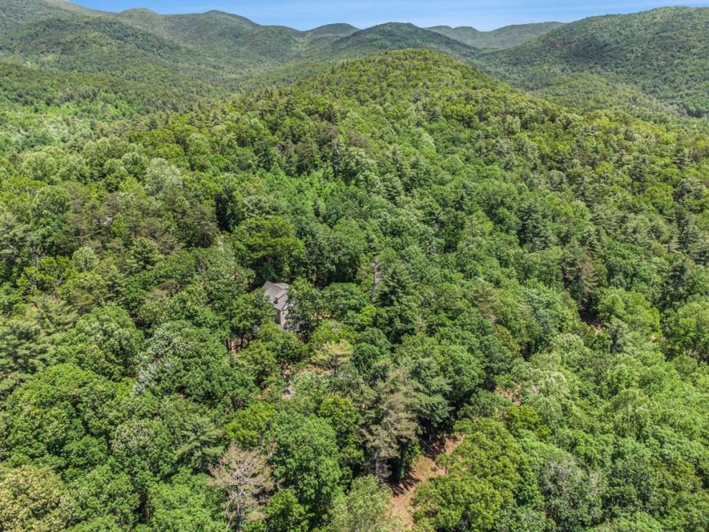 147 Hester Gap Road, Cleveland, Georgia image 37
