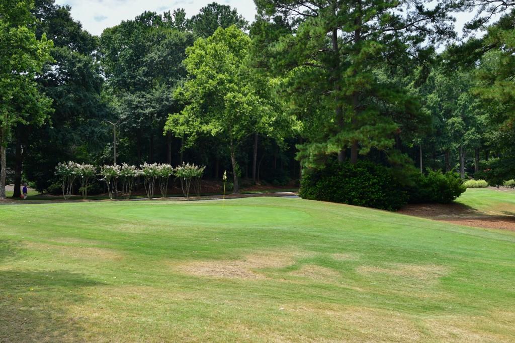 104 Verlaine Place, Atlanta, Georgia image 34