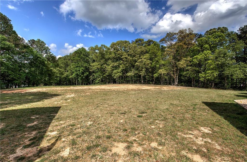 613 Nebo Road, Dallas, Georgia image 49
