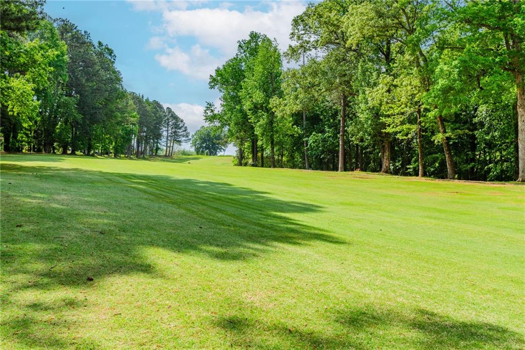 2228 Walker Drive, Lawrenceville, Georgia image 44