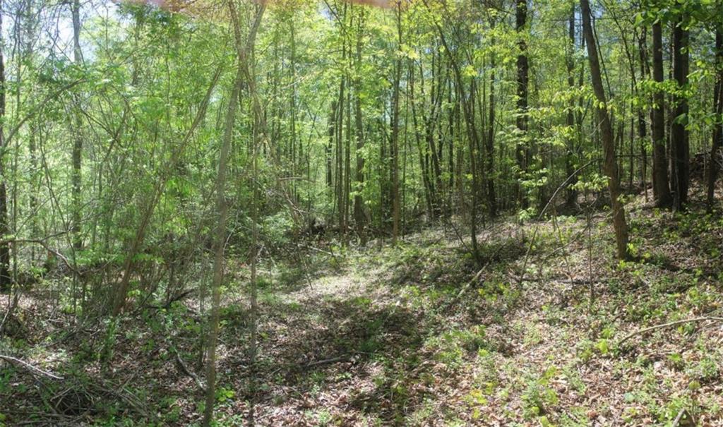 00 Hembree Road, Maysville, Georgia image 6