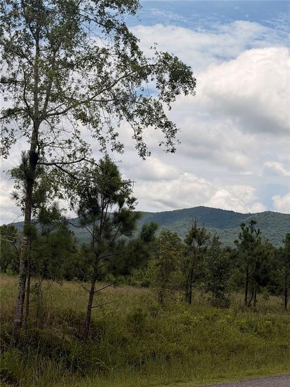 Lot 61 County Road 32