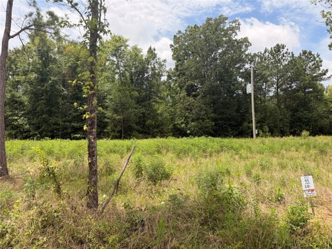 Vacant Land For Sale - LOT 61 County Road 32<br/> Cherokee County, Piedmont, AL 36272