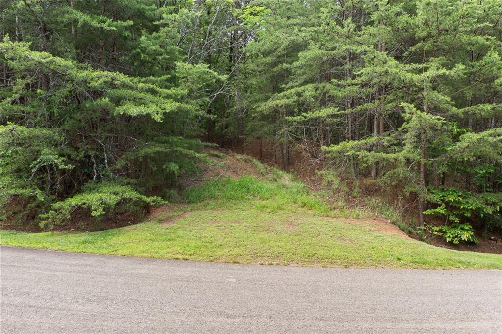 Terrace Way, Jasper, Georgia image 10