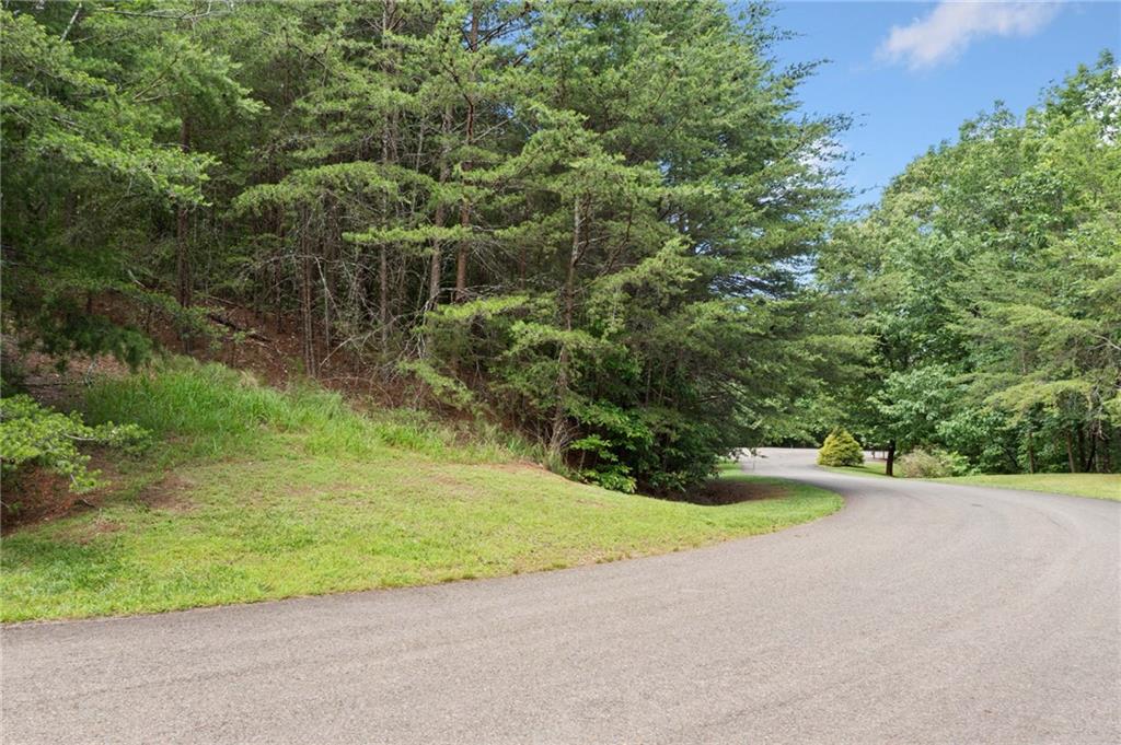 Terrace Way, Jasper, Georgia image 11