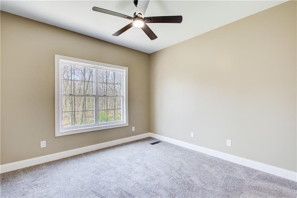 384 Minix Road, Sharpsburg, Georgia image 29