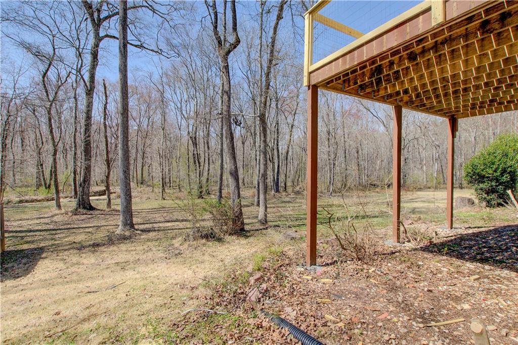 384 Minix Road, Sharpsburg, Georgia image 47