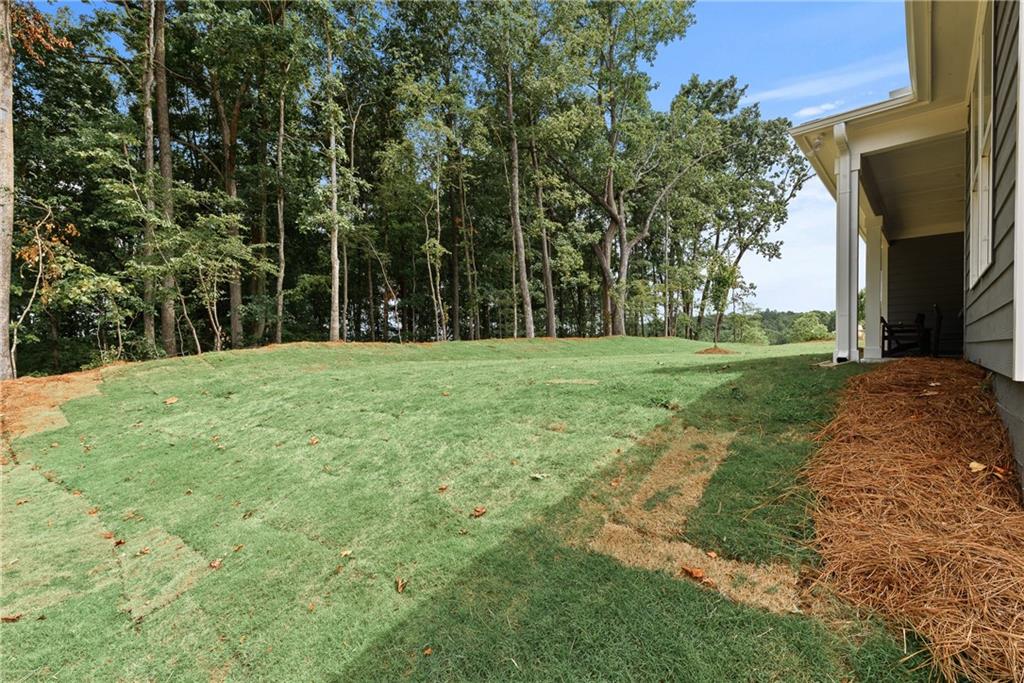 313 Canoe Place, Villa Rica, Georgia image 32