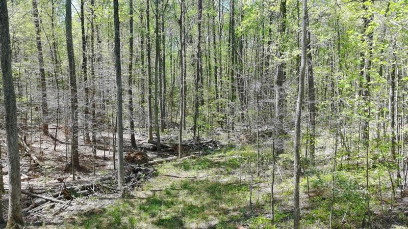 100 Chippewa Trail