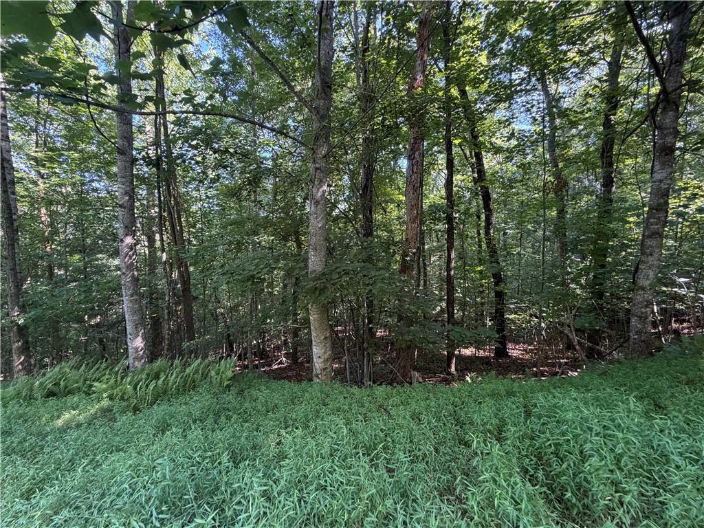 5 Mill Ridge Road