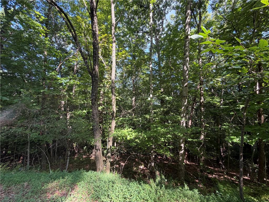 5 Mill Ridge Road
