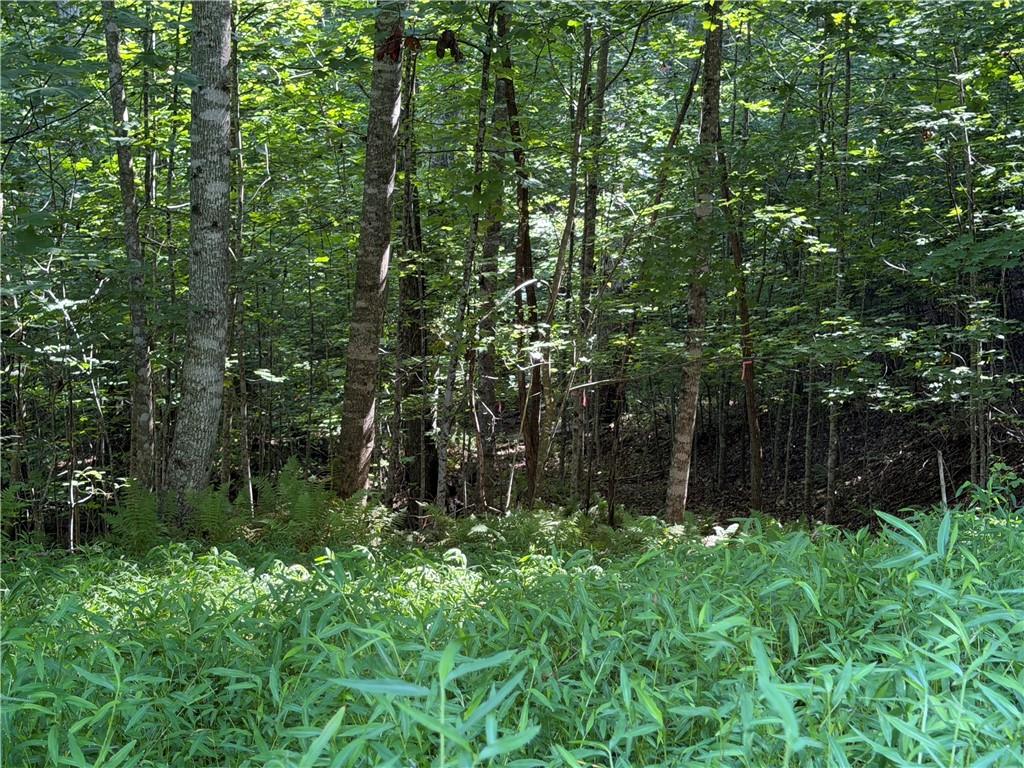 5 Mill Ridge Road