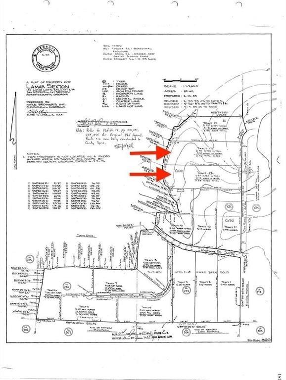 Cox Road, Tract 13, Cumming, Georgia image 2