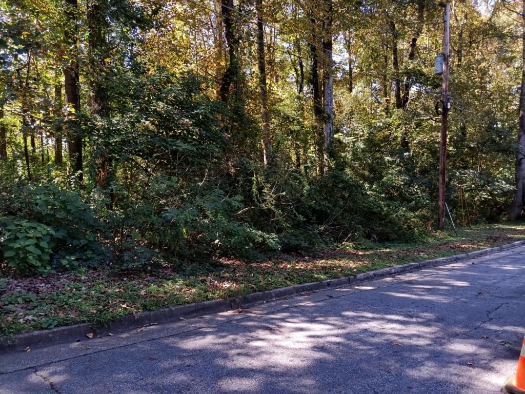 850 Peyton Rd, Atlanta, Georgia image 4
