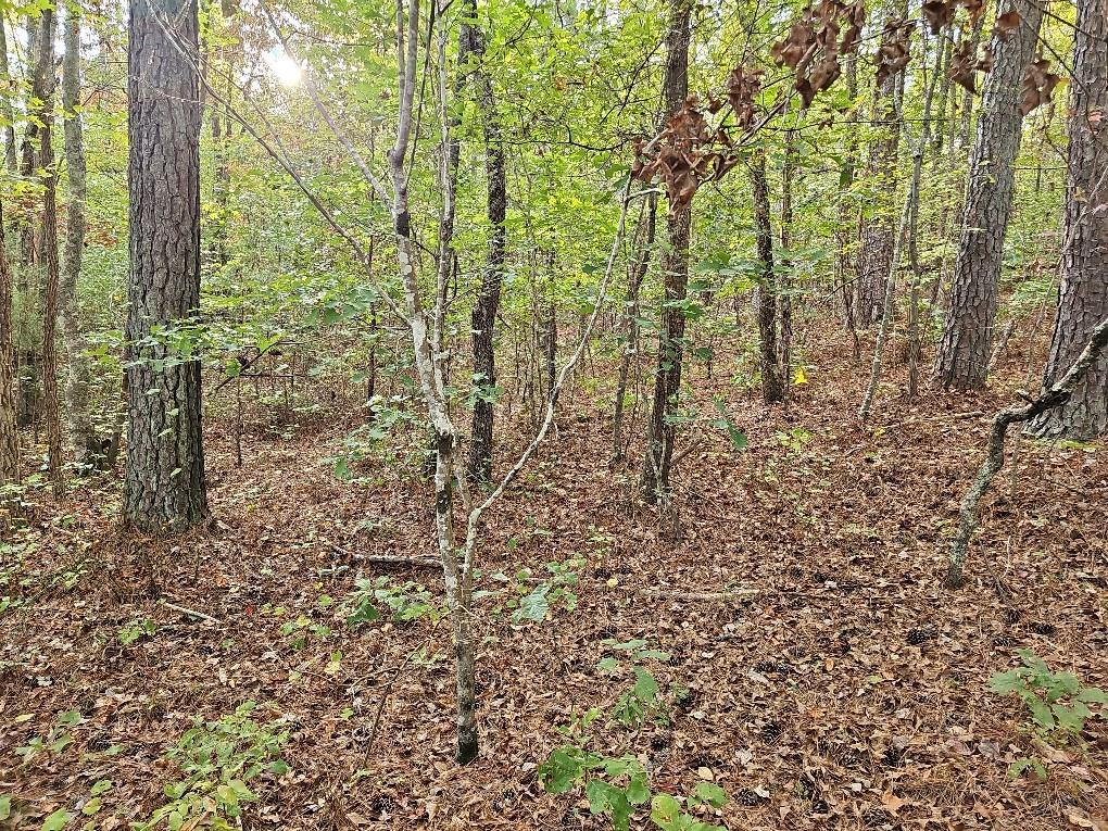 County School Road, Tallapoosa, Georgia image 18