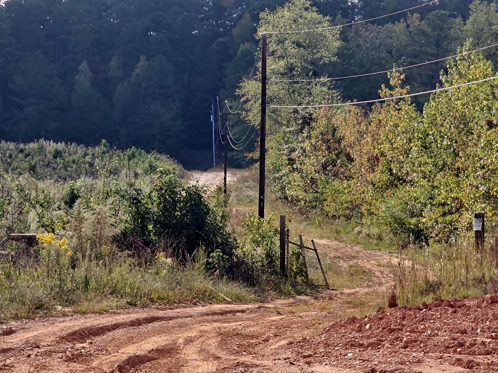 County School Road, Tallapoosa, Georgia image 31