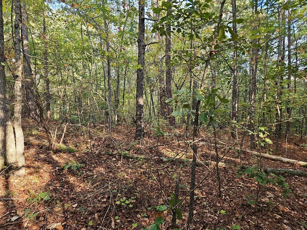 County School Road, Tallapoosa, Georgia image 14