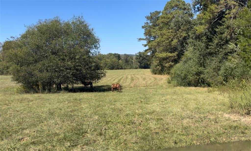 316 Beavers Road