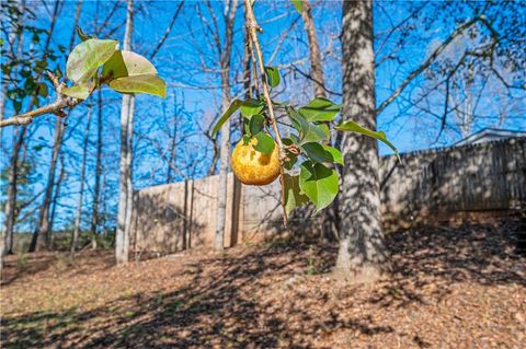 A home in Dahlonega