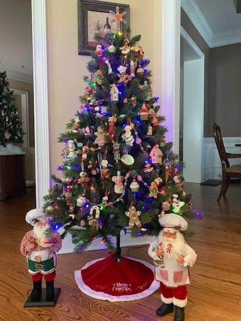 Canton, Georgia 30114, United States, 4 Bedrooms Bedrooms, ,4 BathroomsBathrooms,Residential,Active,224742