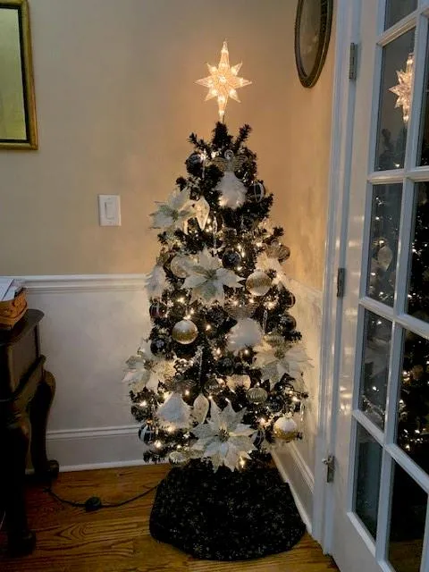 Canton, Georgia 30114, United States, 4 Bedrooms Bedrooms, ,4 BathroomsBathrooms,Residential,Active,224742