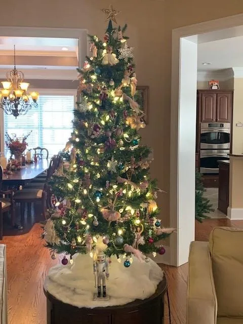 Canton, Georgia 30114, United States, 4 Bedrooms Bedrooms, ,4 BathroomsBathrooms,Residential,Active,224742