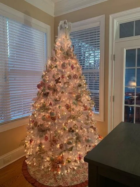 Canton, Georgia 30114, United States, 4 Bedrooms Bedrooms, ,4 BathroomsBathrooms,Residential,Active,224742